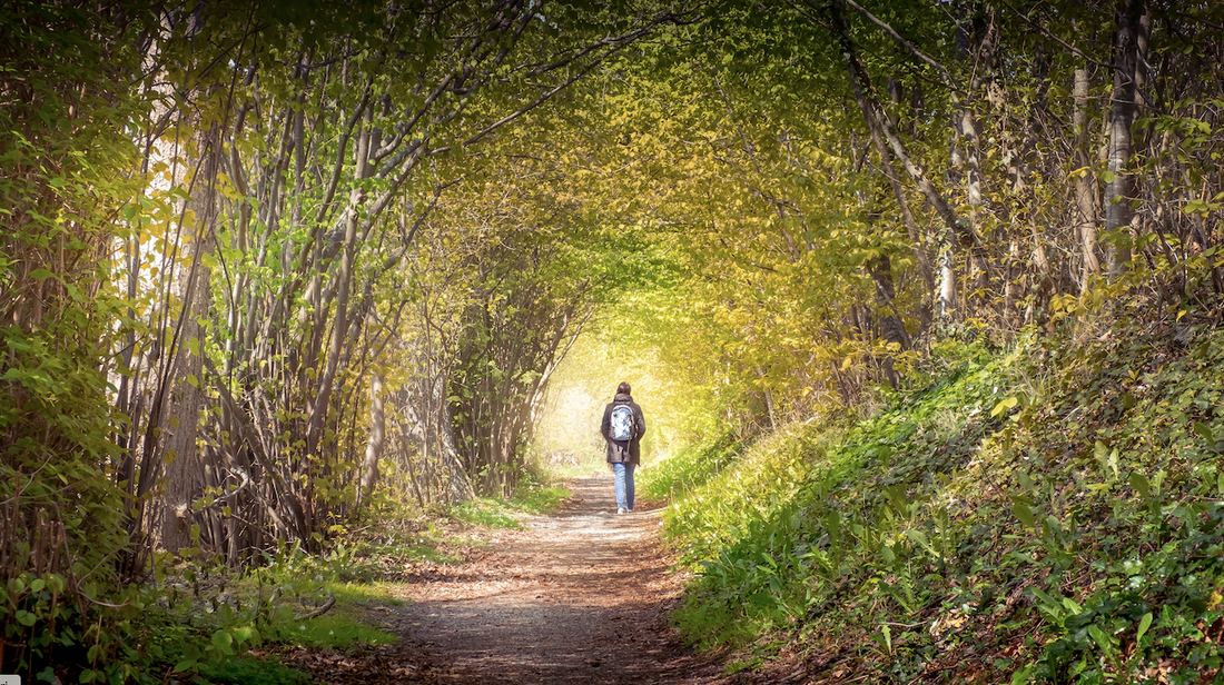 Why Walking Meditations Work