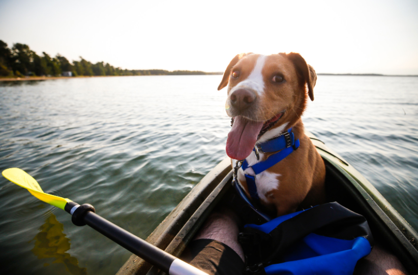 Eight Labor Day Ideas for Active People