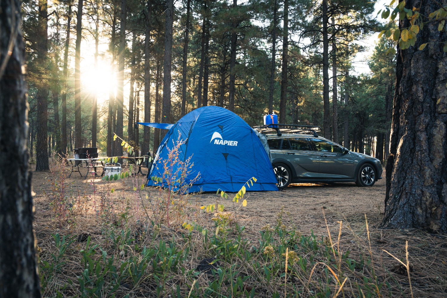 The Camping Essentials <br>You Need