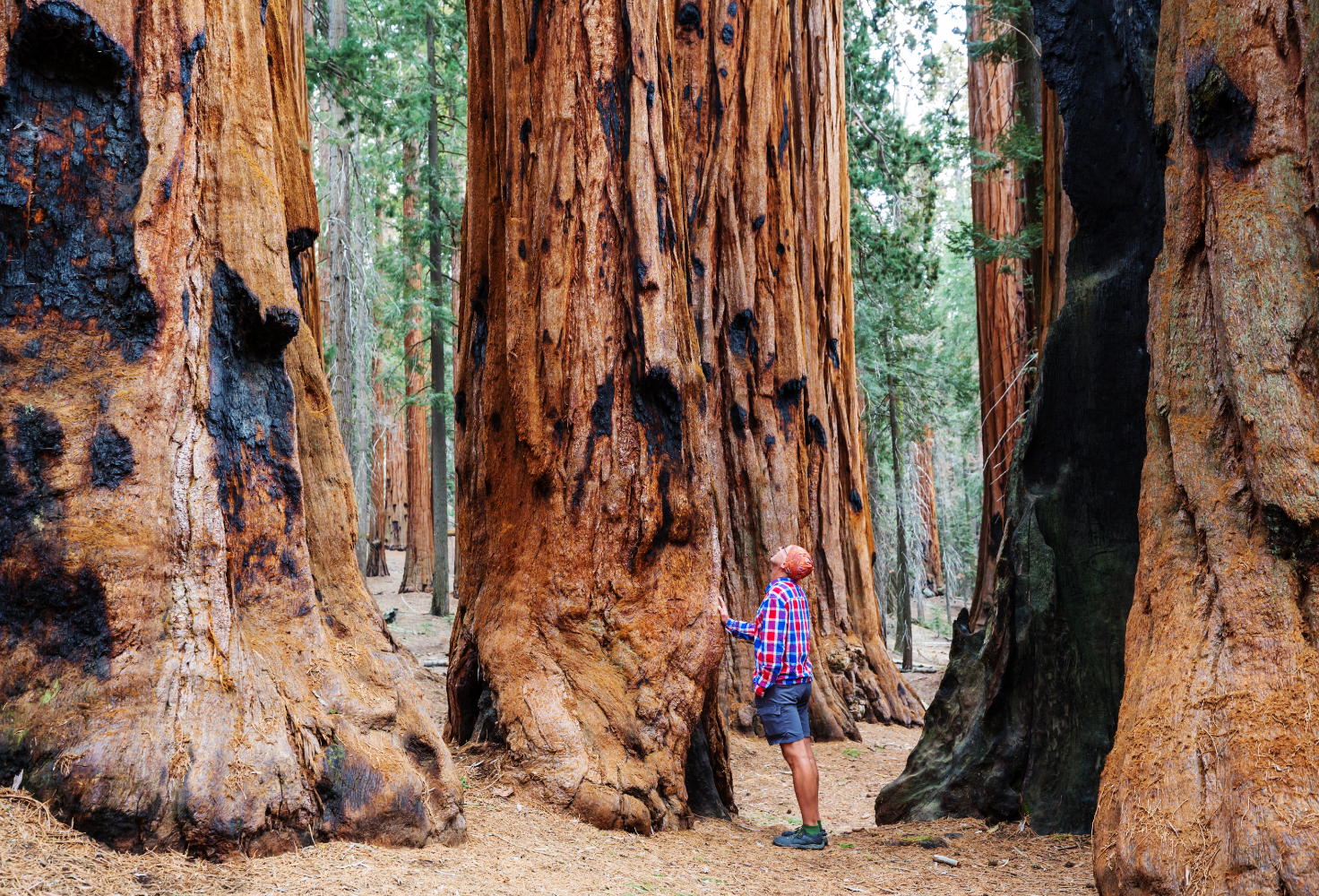 The Best Hikes in California
